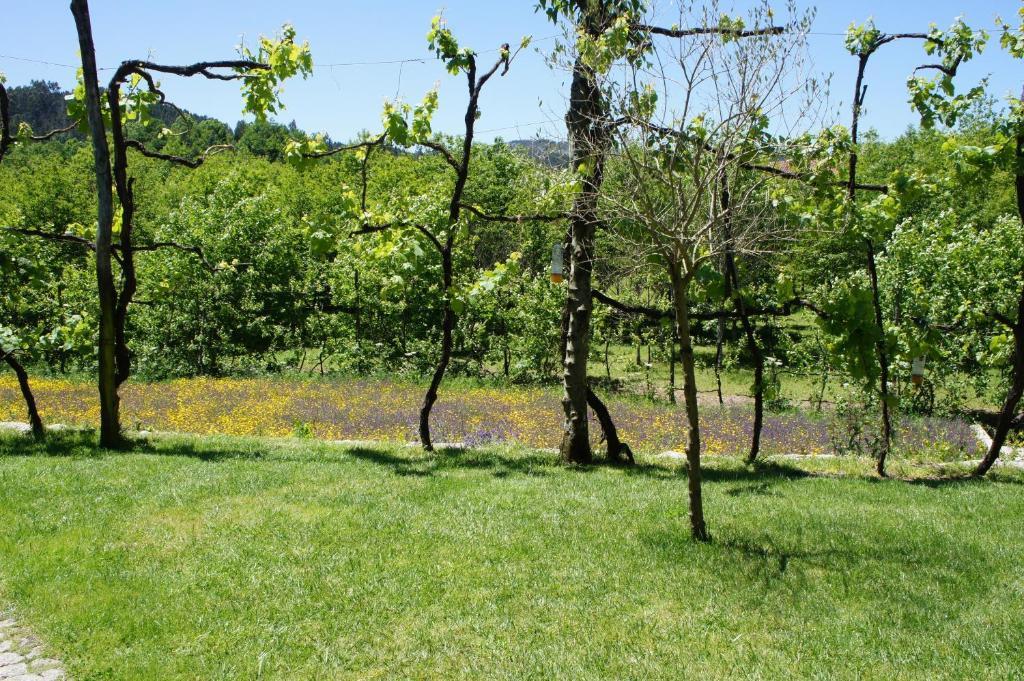 Quinta Travessa Villa Vieira do Minho Dış mekan fotoğraf