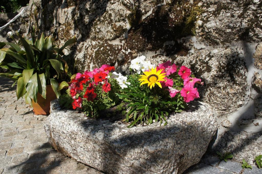 Quinta Travessa Villa Vieira do Minho Dış mekan fotoğraf